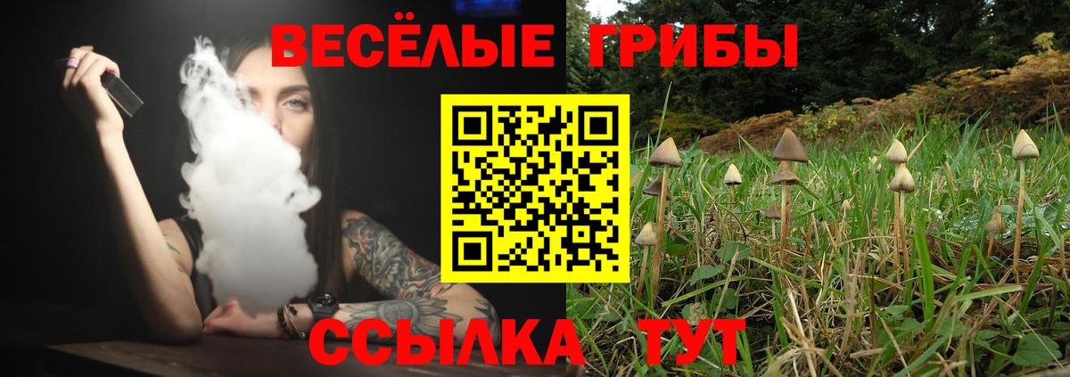 ГАШ Шатура