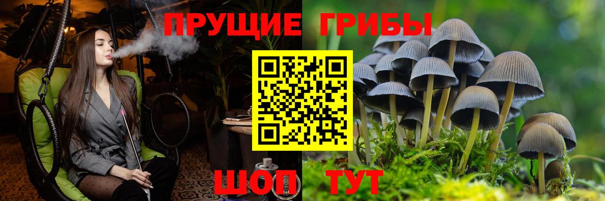 Галлюциногенные грибы мухоморы  Вход с VPN  Шатура 